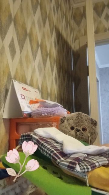 обзор на одежду для басика 🤗🌺