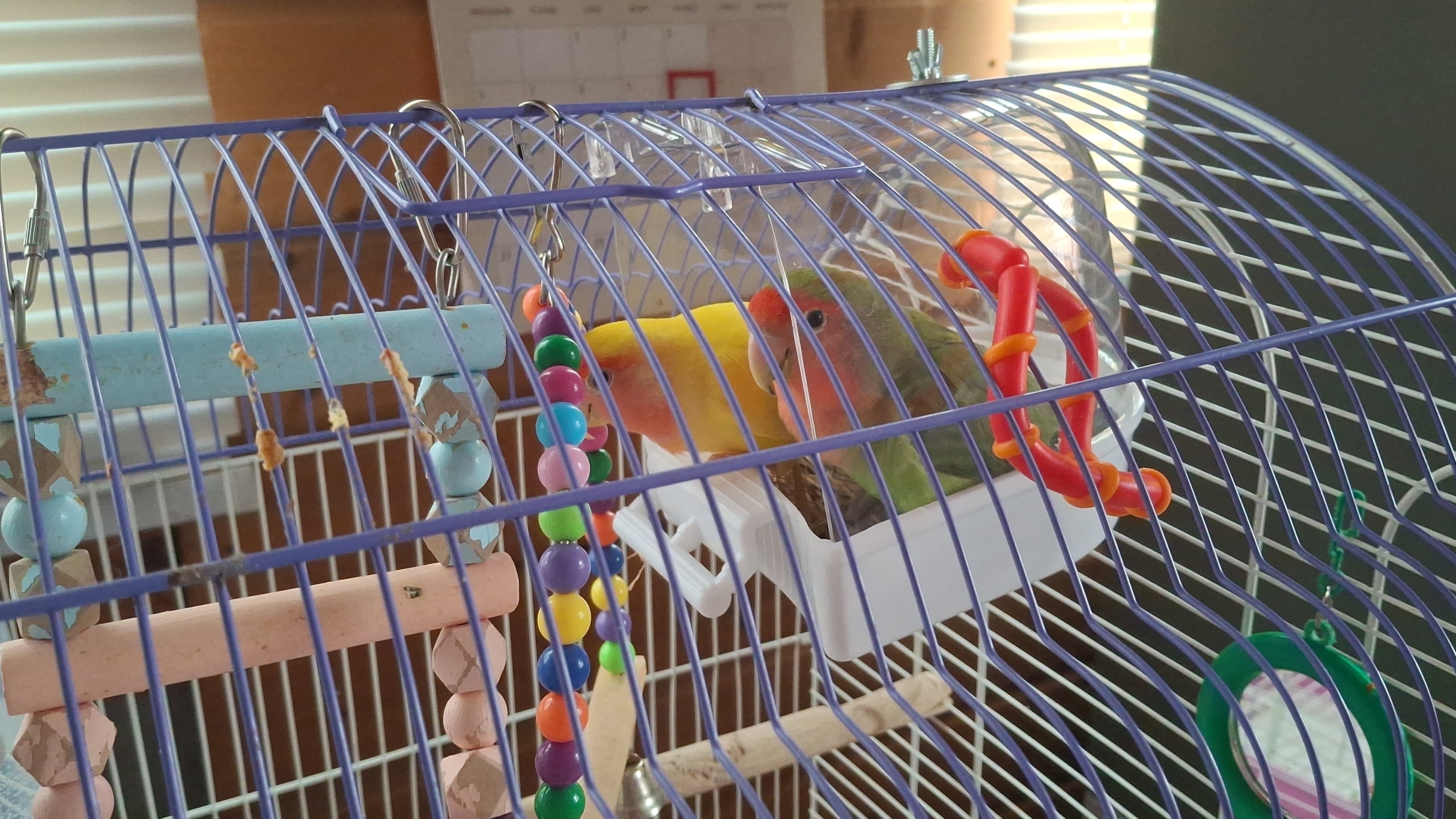 20-04-2026 домашнее видео.Наши будни.