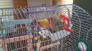 20-04-2026 домашнее видео.Наши будни.