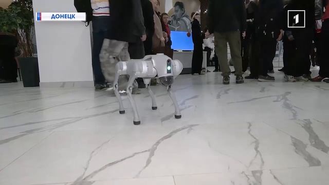 II фестиваль робототехники в Донецке