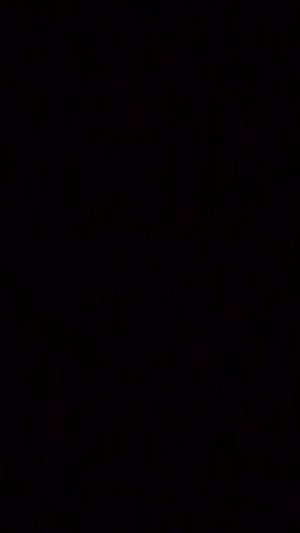 собираю портфель