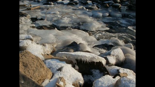 Фазу Алиева. Слово о Родине