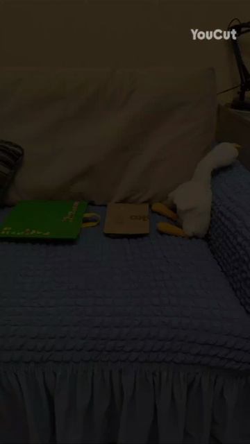 YouCut_20260324_191606175