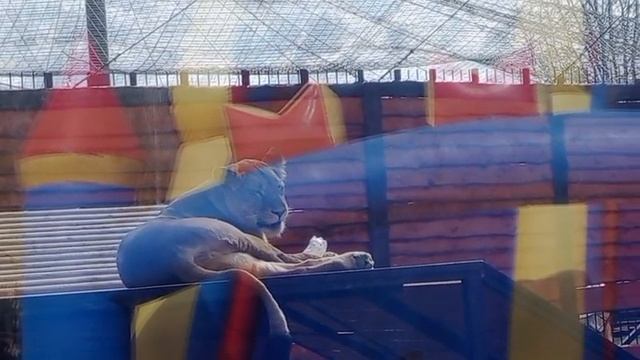 FZZM7420 Видео от Ивана 20.04.2026