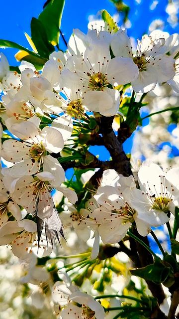 Ты - Лучшая!