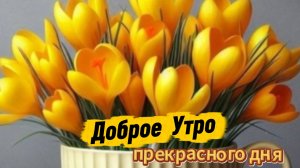 Доброе утро: музыкальные открытки и пожелания доброго утра | Домохозяйка