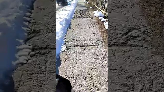 Здравствуйте 👋 😊