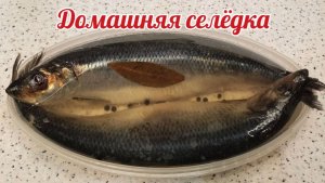 Как засолить селедку. Малосольная селедка. #селедка