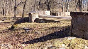 ВОРОНА ПРИЛЕТЕЛА ПОИСКАТЬ ЕДУ