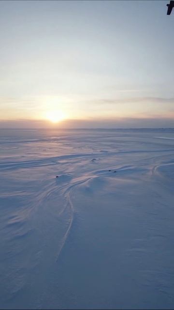 Северный рассвет: красота зимнего пейзажа #зима #природа #рассвет