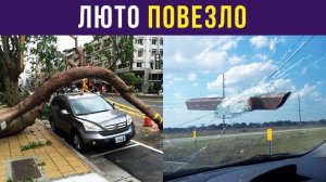 35 случаев, когда реально ПОВЕЗЛО) Приколы