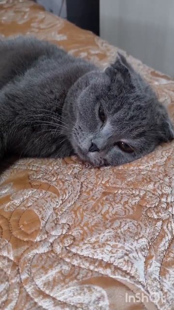 Мои девчули, тётя Соня и Бусинка.🥰