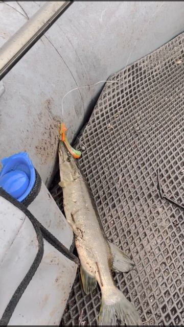 Весенняя рыбалка на спиннинг (малые реки России)