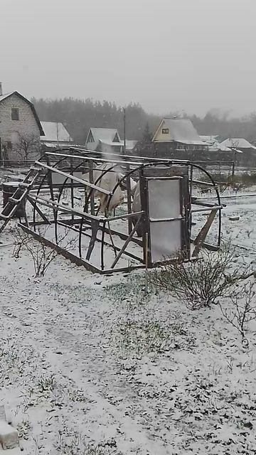 20 апреля 2026 года.