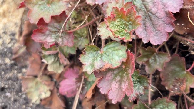 Какие носики вы любите? Как чувствуют себя огурцы после первой ночи?