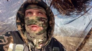 Лужа высыхает а селезни не заканчиваются