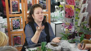 ДФ.Подготовка стрептокарпусов к весне. Е.Павлова