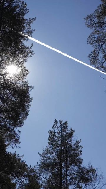 Дом Себе х Морошка