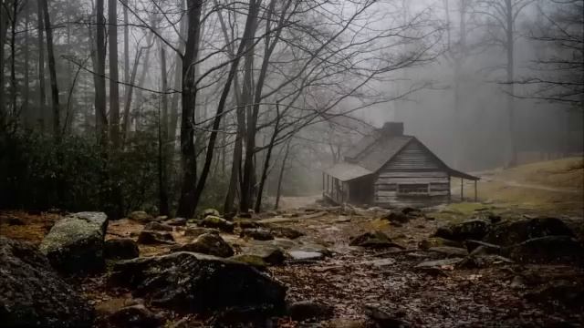 Насладитесь глубоким и спокойным сном под звуки дождя.