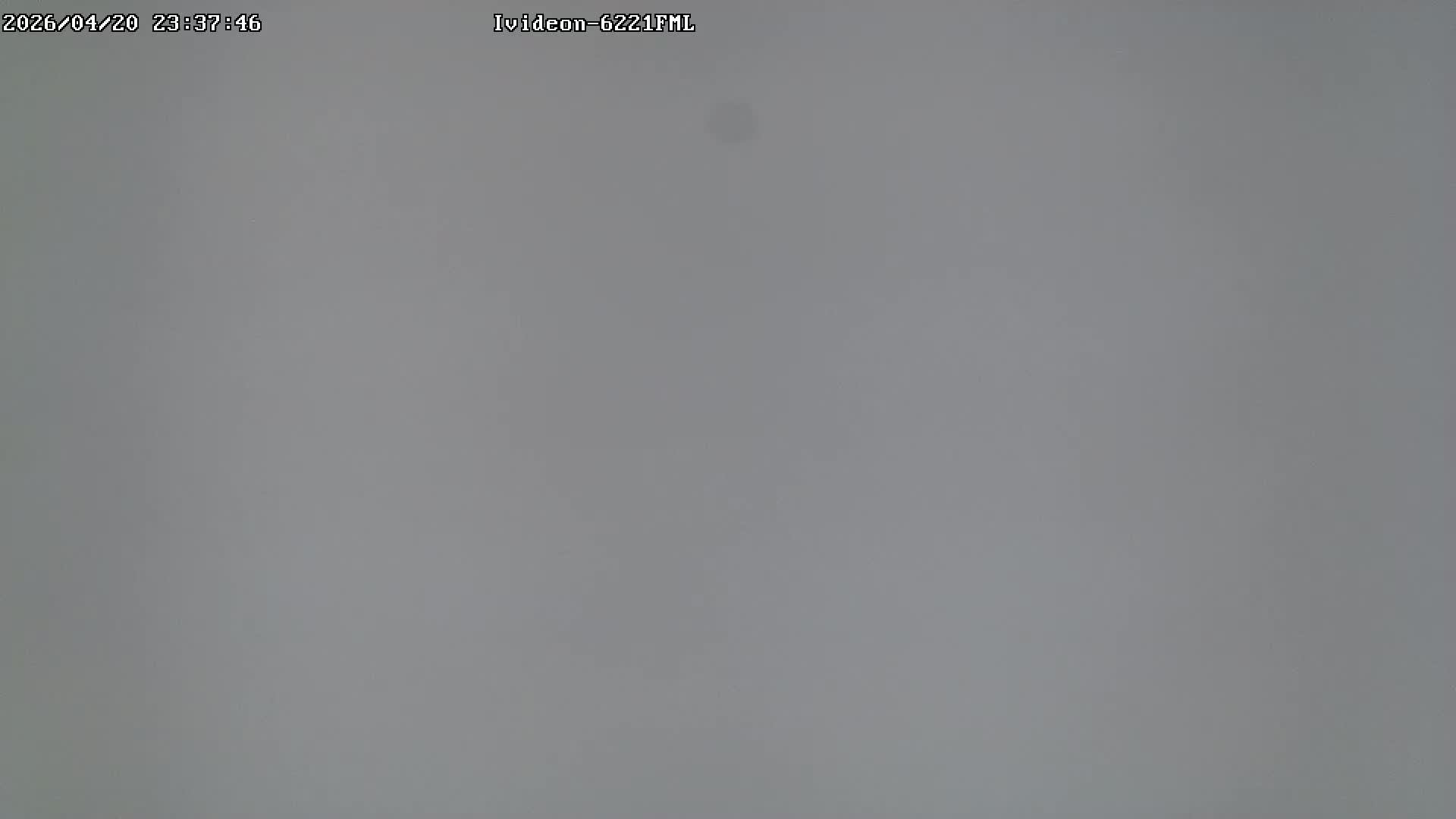 LIVE: Channel43489494