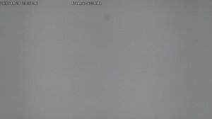 LIVE: channel43489494