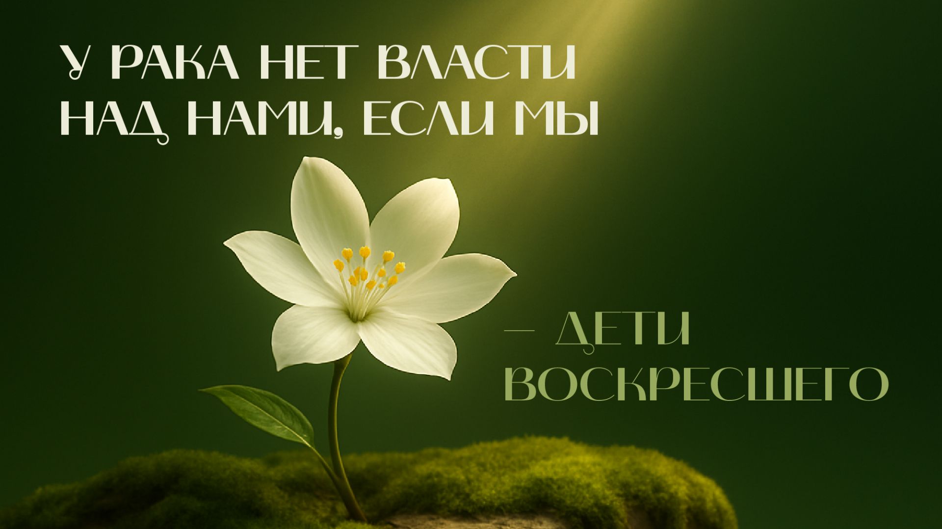 У рака нет власти над нами, если мы – дети Воскресшего | Древо жизни