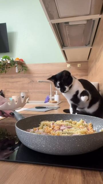 Бьём колбасу