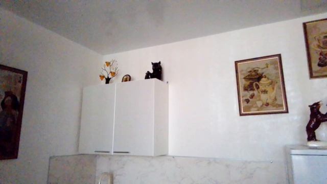 Что с религией ,где магия