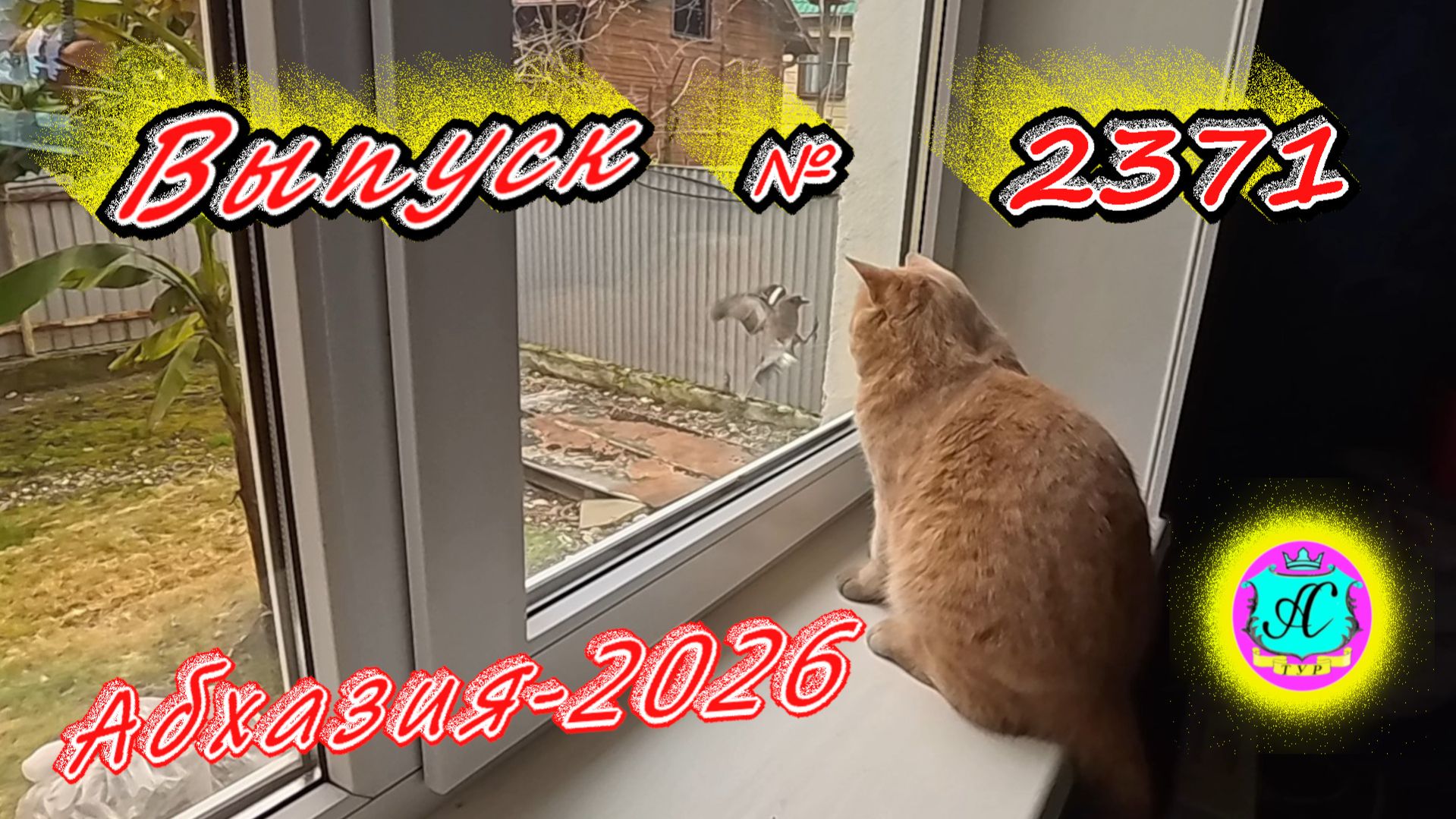 #Абхазия2026🌴 19.04.26г.🔥 Выпуск № 2371❗вчера +23°🌡ночью +11°🌡море +11,5°🐬