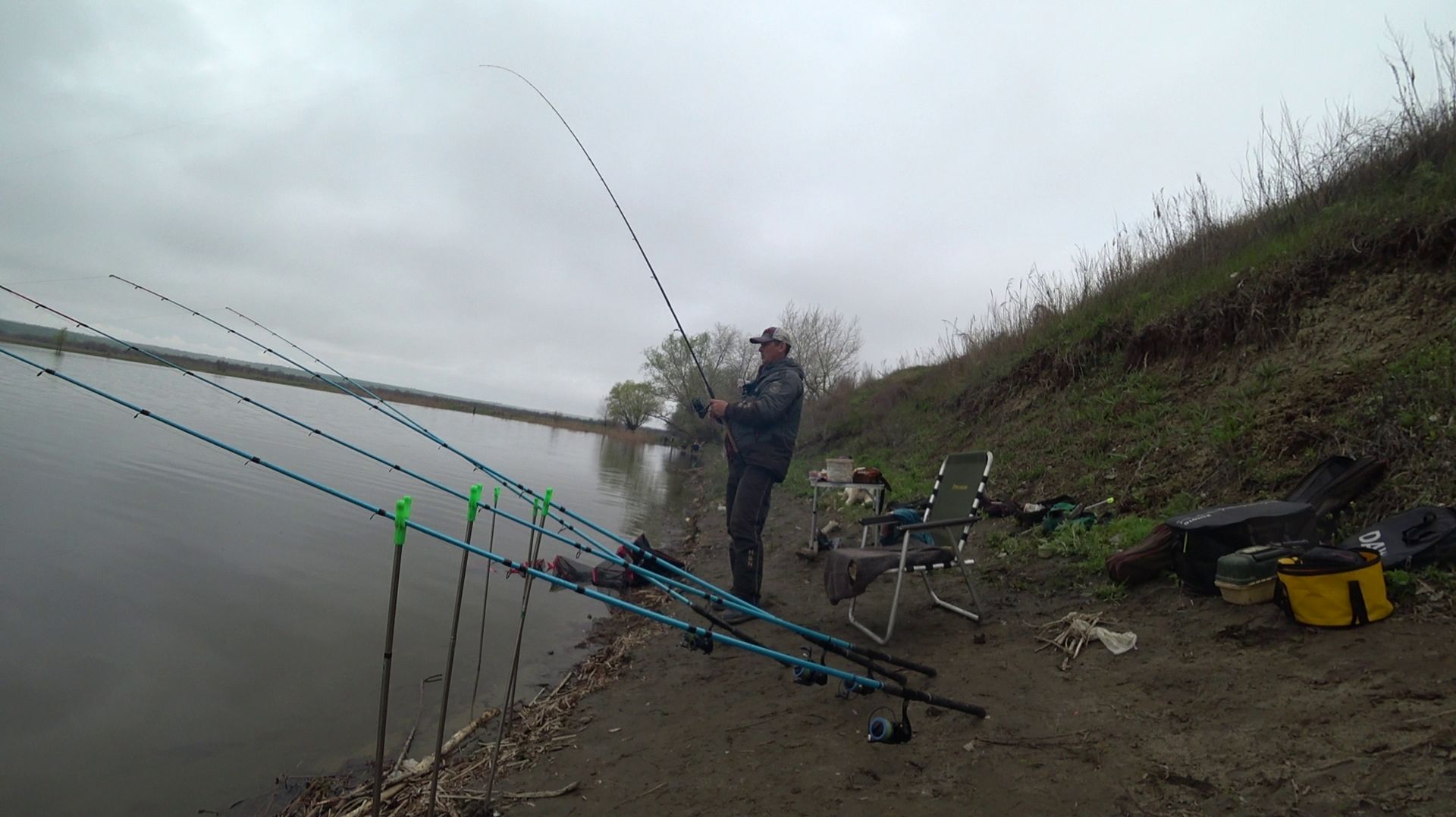 весенняя густера сазан карась с берега на фидер,весенняя природа в Донском краю #рыбалка #сазан