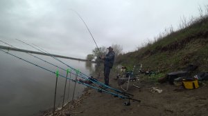 весенняя густера сазан карась с берега на фидер,весенняя природа в Донском краю #рыбалка #сазан