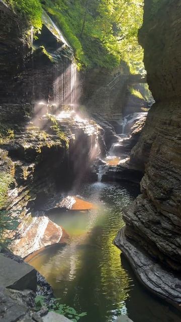 @reinareinareina888=a76595