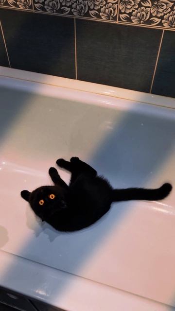 Все наслаждались 😄