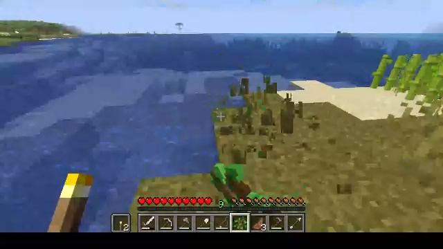 Играю в Minecraft