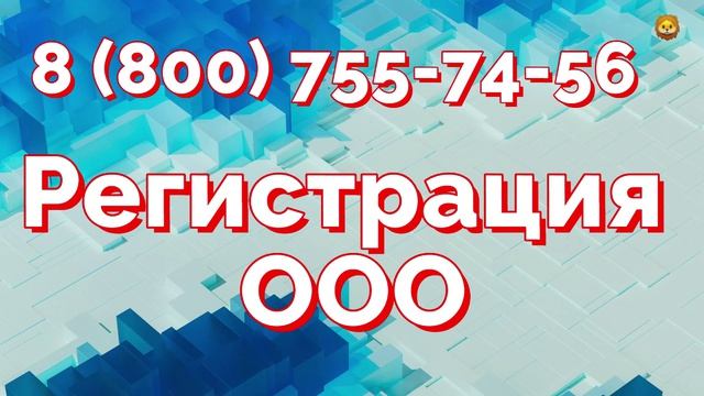 Регистрация директора ооо