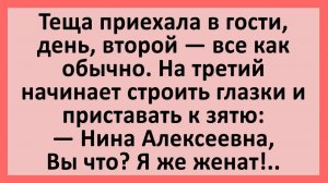 Анекдоты | Тёща приехала в гости и пристает к зятю... | Анекдоты смешные | Юмор