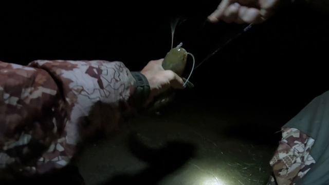 РЫБАЛКА НА ДОНКИ