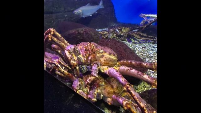 С профсоюзом интересно!