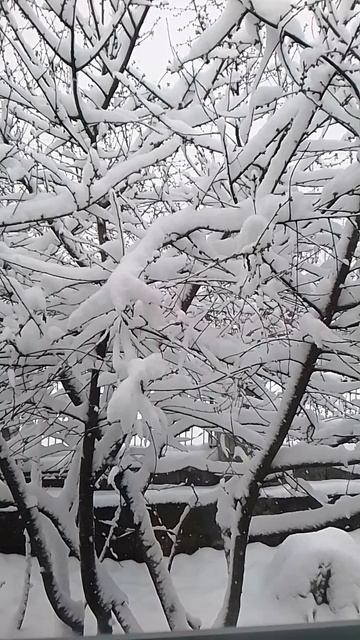 20 апреля)зима