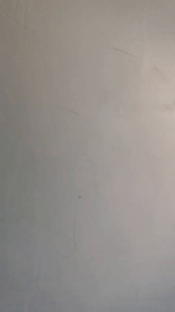 1 к. кв. В. Новгород, пер. Юннатов, д. 9