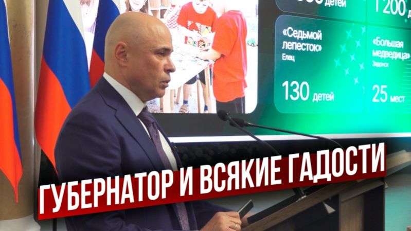 Липецкий губернатор отчитался о 