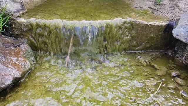 016▪️Весенний ручей▪️Футажи ▪️Красивая природа