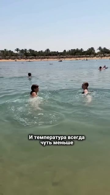 Боитесь акул в Египте?! Вам нужен такой пляж!!!