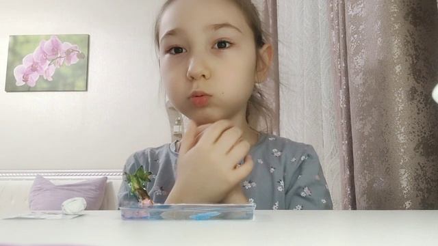 Делаю бассейн для капипары 🥹