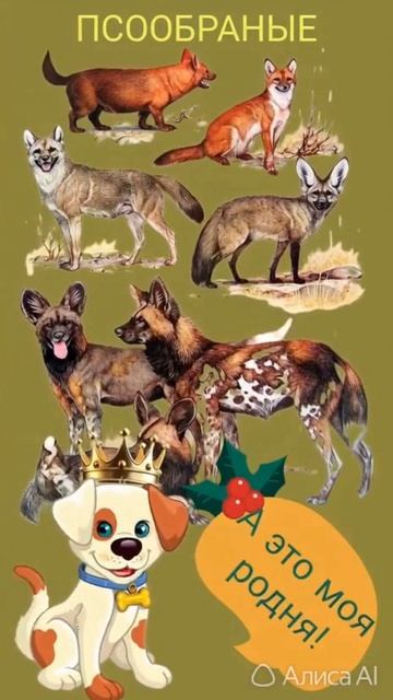 ШКОЛА ЮНЫХ ВЕТЕРИНАРОВ