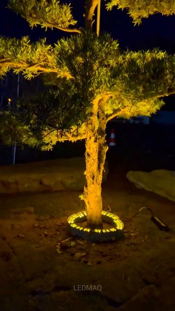 Грунтовой ландшафтный светильник для круговой подсветки колонн и деревьев серия SM и BS