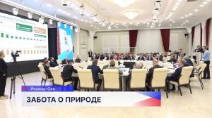 Ликвидацию ветровалов в лесах обсудили на пленарном заседании Совета законодателей в Йошкар-Оле