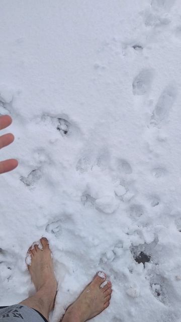 Кто со мной на майские на лыжах кататься?