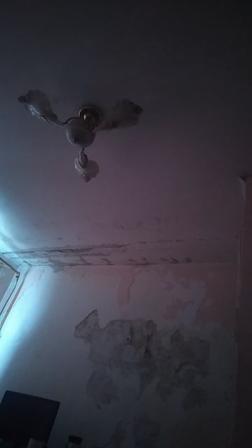 Наслаждаюсь свободой