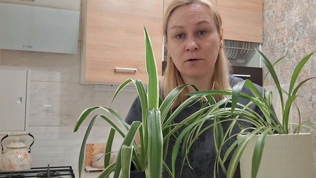 Распаковка с WB🛍/НОВЫЙ ЖИТЕЛЬ🪴/Рискнула